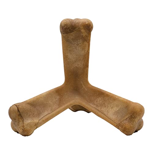 N-Bone Quado Interactive Chew, Pumpkin Flavor, Average Joe, 2.8Oz #TOP2
