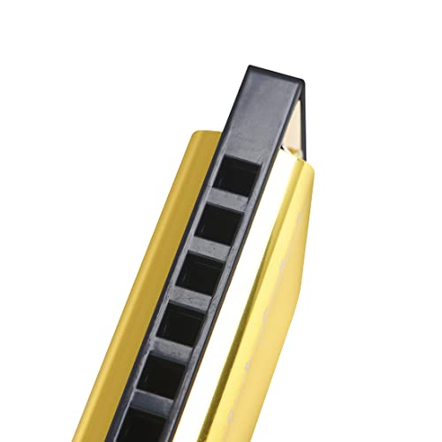Origlam Blues Harmonica Mouth Organ, Diatonic Blues Harmonica Key Of C, 10 Holes 20 Tones Blues Harp Mouth Organ Harmonica (Gold) #TOP2