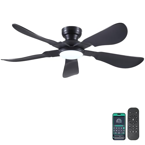 Kviflon 52 In Ceiling Fans with Lights Remote/APP,5 Reversible Blades Black