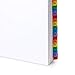 Blue Summit Supplies 31 Tab Binder Dividers for 3 Ring Binder, 3 Sets, Day of The Month Dividers with Multicolor Numbered Tabs, Includes Customizable Table of Contents Index