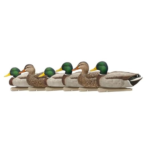 AVIAN-X Topflight Open Water Duck Durable Realistic Hunting Floating Mallard Decoys, Pack of 6, AVX8060