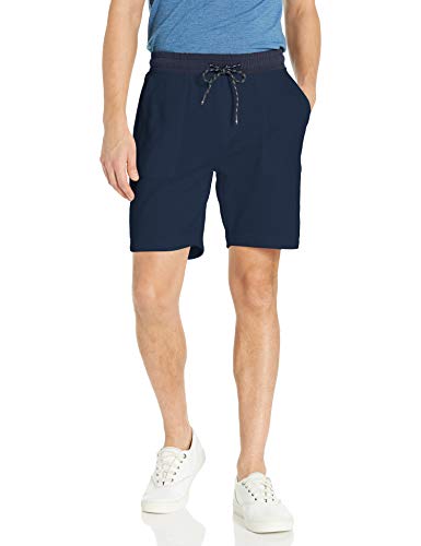 Tommy Hilfiger mens Tommy Hilfiger Men's Coastal Casual Shorts, Sky Captain, Large US