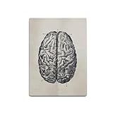 Zanthicia Estructura del cerebro, cartel colorido con marco