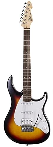 NEW PEAVEY RAPTOR PLUS SUNBURST STRAT STYLE ELECTRIC GUITAR w/TREMOLO �G���L�M�^�[ �G���N�g���b�N�M�^�[ �i���s�A���j