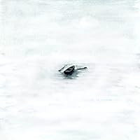 Vincent Lima Ablum Cover