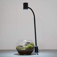 Amazon.co.jp: 【BARREL公式】植物育成LEDスタンドライト 植物育成