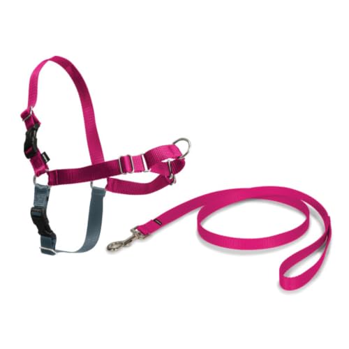 PetSafe Easy Walk, Pettorina per Cani, Pettorina Anti-tiro per Cani, per l'Addestramento con Guinzaglio e Pettorina, Impedisce al Cane di Tirare e Strozzarsi, Rosa, L, Grande