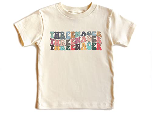 Threenager Shirt, Toddlers Third Birthday Shirt, Groovy 3rd Birthday Toddler Tee4