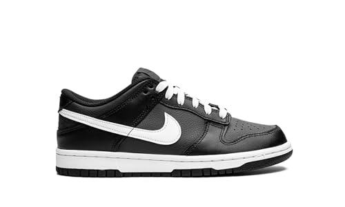 Nike Dunk Low (Big Kid)3