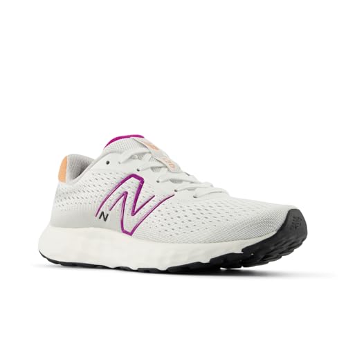 Image of New Balance Women's 520 V8 Shoes