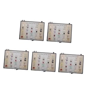 DOITOOL 5 Sets Erzproben Schaukästen Gesteinssammlung