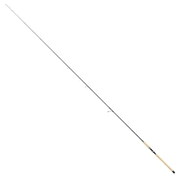 Amazon | テイルウォーク(Tailwalk) ロッド KEISON GINSEI