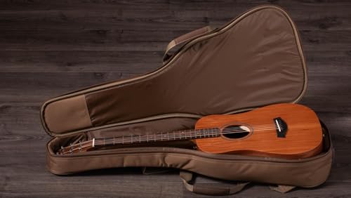 Image of Taylor BT2 - Mahogany Top