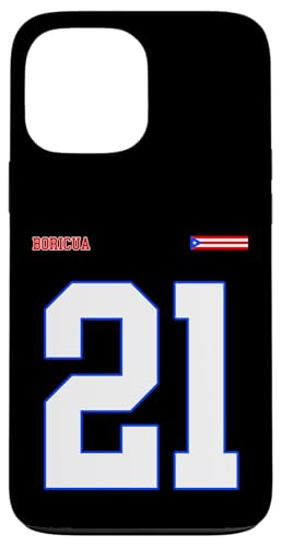 21 vGgR  IKb {NA X|[c ^Cm ubh X}zP[X iPhone 13 Pro Max p