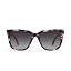 Milky Tortoise Polarized