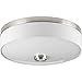 Progress Lighting P3610-0930K9 Weaver LED Close-to-Ceiling, Nickel