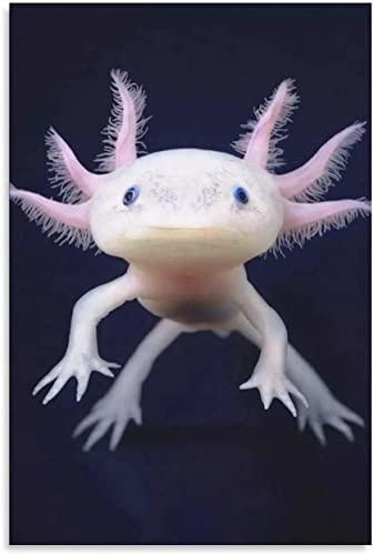 Axolotl Reptiles Marines Benthos Poster Canvas Wall Art Home Living Room Bedroom Decor Mural (Unframed,08×12Inch) #TOP24