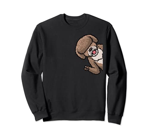 Perro Perro de agua español Sudadera