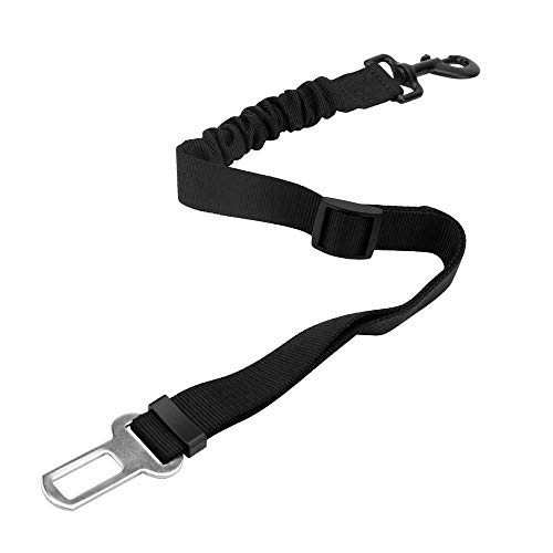 Intirilife Hunde Sicherheitsgurt in SCHWARZ  Elastischer Auto Hundegurt für alle Hunderassen kompatibel mit Allen Autos  Einstellbarer Anschnallgurt für Hunde bei Autofahrten