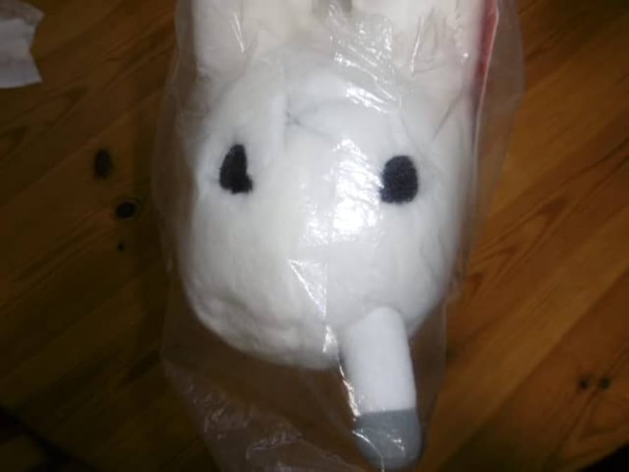 Amazon.co.jp: フランク コジック × キッドロボット 直筆サイン