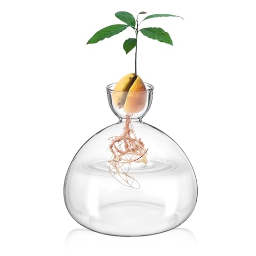 simarro Avocado Vase Avocado Seed Starter Vase Clear Avocados Tree Growing Kit Planter Pot Indoor Avocados Planter Vases Gift for Gardening Lover