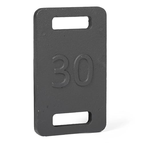 Titan Fitness 30 LB Cast Iron Ruck Weight Plate, Backpack Weight Training, Dual Wide Handles, Round Corners Smooth Edges, Ideal for Resistance Training, Strengthen Posture Stability
