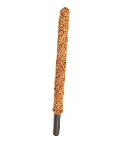 GROW POLES 3CM X 90CM | PLANT SUPPORT | COIR MOSE POLES (3)