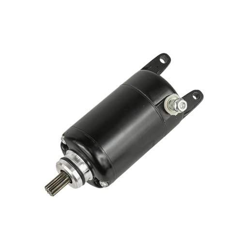 Démarreur de moto 21163-1100 haute performance pour série 250HS