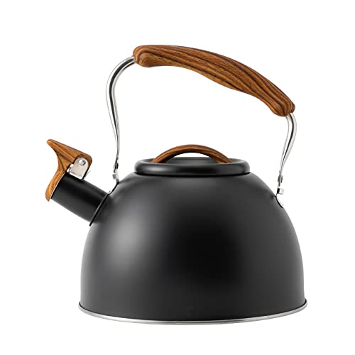 Find The Best Rust Free Tea Kettle Reviews & Comparison Katynel
