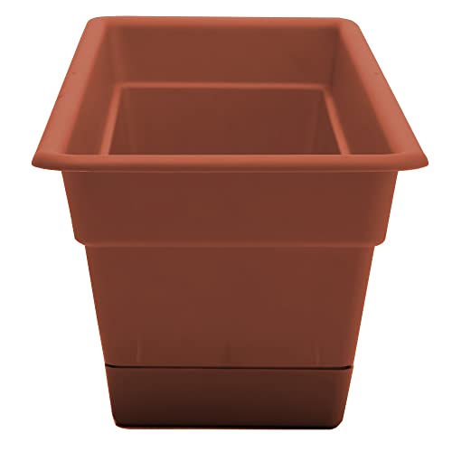 WINDOW BOX TARCOT 18