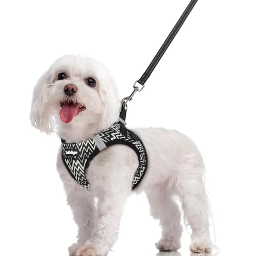 Image of rabbitgoo Dog Harness Medium Sized and Leash Set, Step-in Puppy Pet Vest