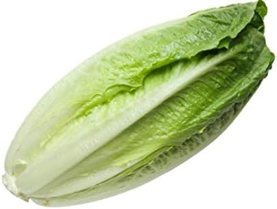 Amazon ロメインレタスの種 100粒 野菜