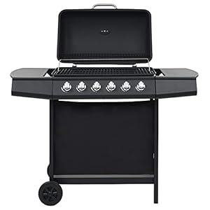 Home & Tuingereedschap-Gas BBQ Grill met 6 Kookzones Staal Zwart