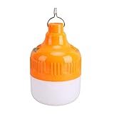 [Éclairage de secours portable] L'ampoule rechargeable fournit un éclairage fiable en cas de panne de courant, à l'extérieur ou dans toute situation d'urgence.
