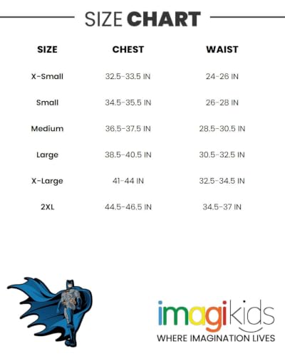 Image of DC Comics Justice League Matching Family Cosplay T-Shirt