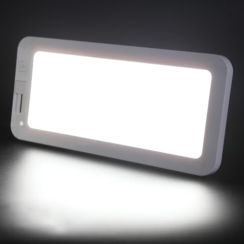 Facon 12inch RV LED Slim Ceiling Light with Dimmer Switch, 10W, 700 Lumens, 12V-24V DC, 3 Colors: 3000K/4000K/6000K, RV Interior Light for RV Camper Trailer Motorhome and Boat