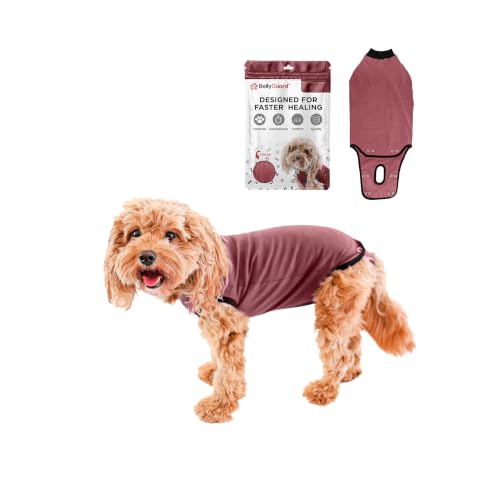 BellyGuard Dog Surgery Recovery Suit, Male Female After Spay Neuter Onesie