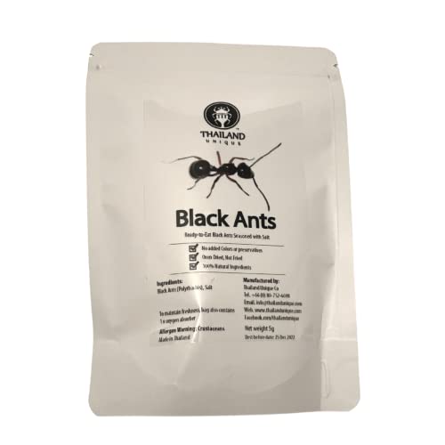Thailand Unique Salted Black Ants - High Protein Edible Superfood 10g