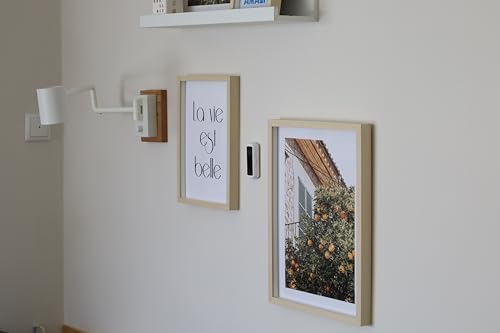 NodOn Temperatur- & Feuchtigkeitssensor - Zigbee 3.0, Batterielos, Energieautark, Low Light Solarpanel, Wartungsfrei, Raumklimaüberwachung, kompatibel mit Alexa, SmartThings, HomeAssistant