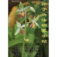 Art of the Pen copybook (paperback) 7800229041 Book Cover