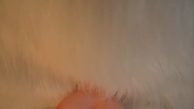 Watch small sex doll on Amazon Live