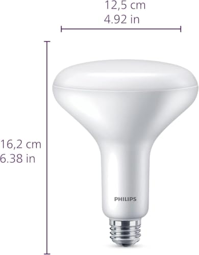 Image of PHILIPS LED 65W BR30 4-Pack Ultra Definition Daylight (5000K) 650 Lumen (7.5W = 65W) Dimmable Frosted Flicker-Free Light Bulbs