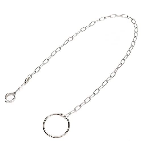 Pangdingk Cadena de pie de Acero Inoxidable, Anillo de Tobillera de Entrenamiento de Loros Duradero, para Loros domésticos, Aves, Mascotas