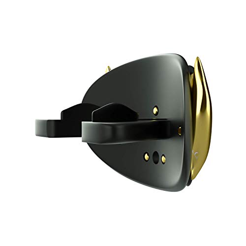 Loudmouth Football Mouth Guard | 3D Beast Chrome Adult and Youth Mouth Guard | Mouth Piece for Sports | Maximum Air Flow Mouth Guards (3D Beast - Chrome Black/Gold + Pink)
