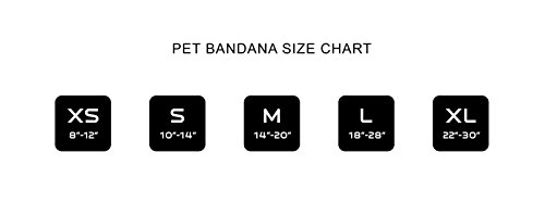 Littlearth-NHL-Pet-Bandanna