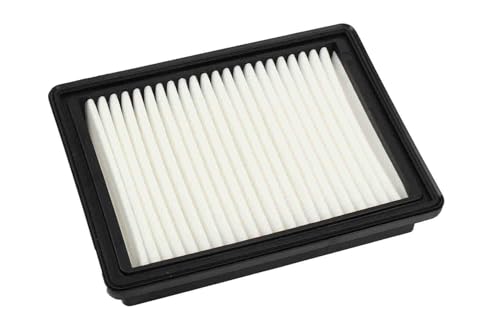 ACDelco GM Original Equipment A3227C (95238310) Air Filter