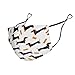 WUXEKZO Adults Boys Girls Warm Protective Masks Fashion Scarf Anti Dust Windproof Mouth Cover, Dachshund Mouth Decoration for Sports Travel Hiking
