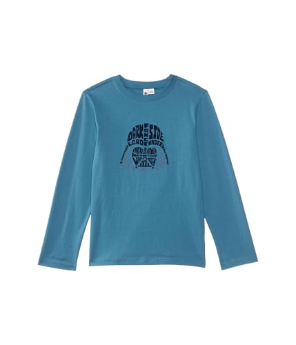 Janie and Jack Boys' Dark Side Star Wars Graphic Tee (Toddler/Little Big Kid)