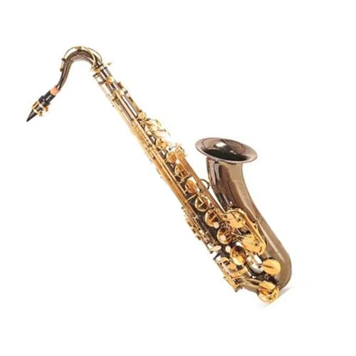 SҗpTbNX S[hjbPBtbgei[TbNXyAP[Xƃ}EXs[XANZT[t