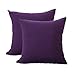 RUIKASI Kissenbezug 80x80 2er Set - Kopfkissenbezug 80 x 80 Lila Doppelpack, Kissen Bezug 80x80cm mit Reißverschluss aus Mikrofaser, Weich und Bügelfrei